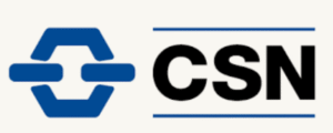 Cliente CSN - Saneamento de Cadastros